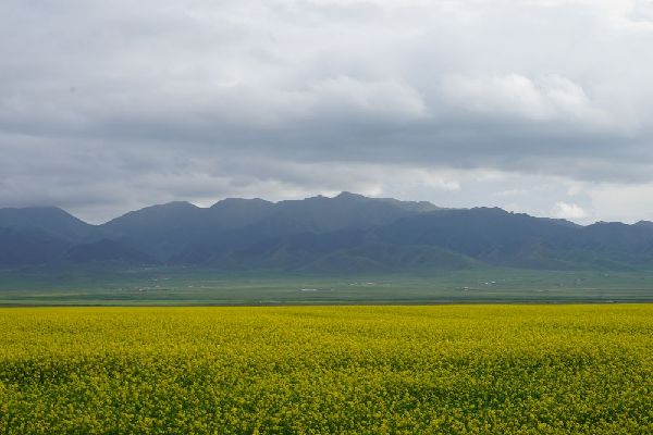 夏日田園牧歌